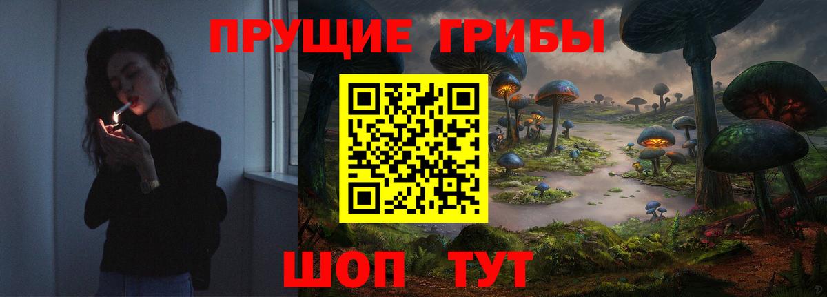 Галлюциногенные грибы Psilocybine cubensis  Вход с VPN  продажа наркотиков  Кинешма 